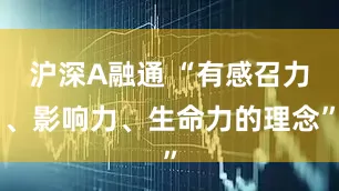沪深A融通 “有感召力、影响力、生命力的理念”