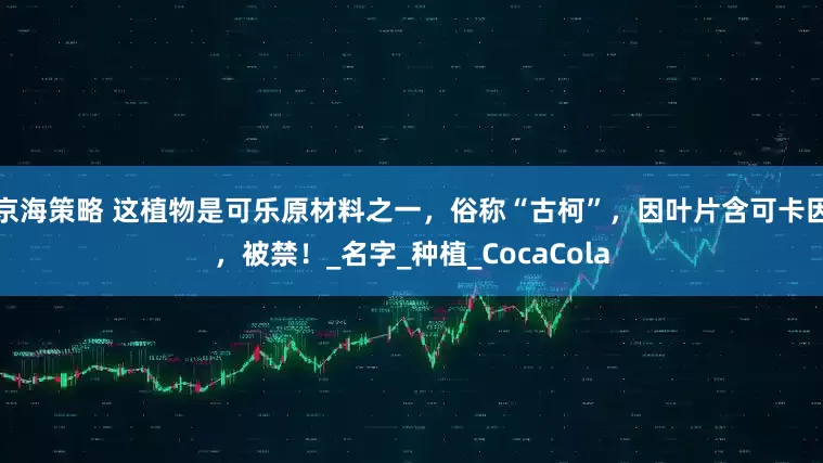 京海策略 这植物是可乐原材料之一，俗称“古柯”，因叶片含可卡因，被禁！_名字_种植_CocaCola